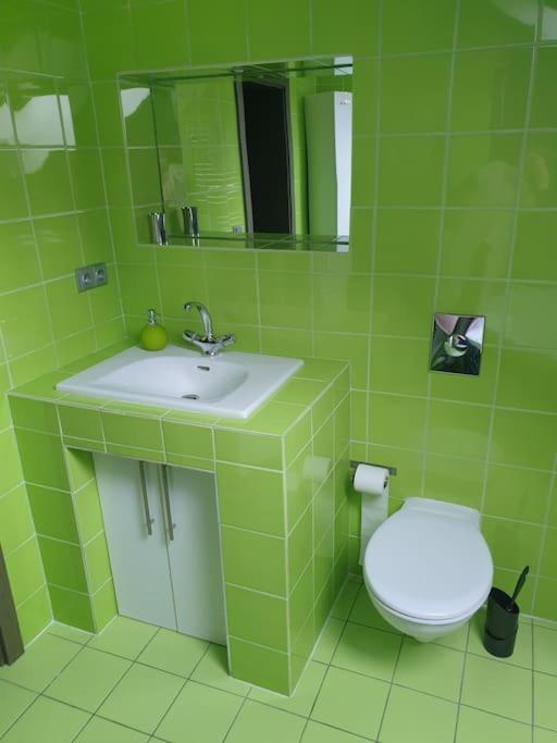 Apartman Radcice 70M2 V Rodinne Vile 利贝雷茨 外观 照片